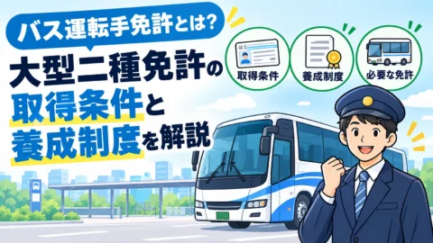 バス運転手免許とは？大型二種免許の取得条件と養成制度を解説